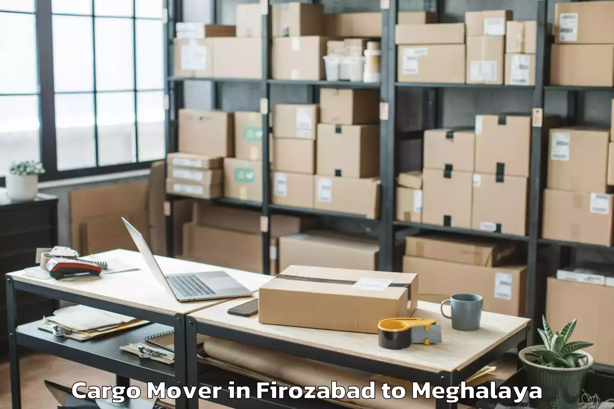 Easy Firozabad to Mawshynrut Cargo Mover Booking